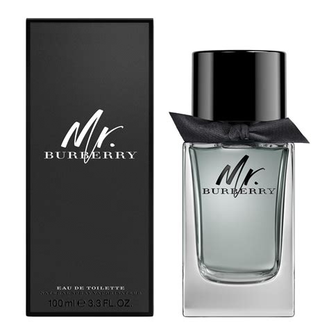 mr burberry perfume review|burberry brit for men fragrantica.